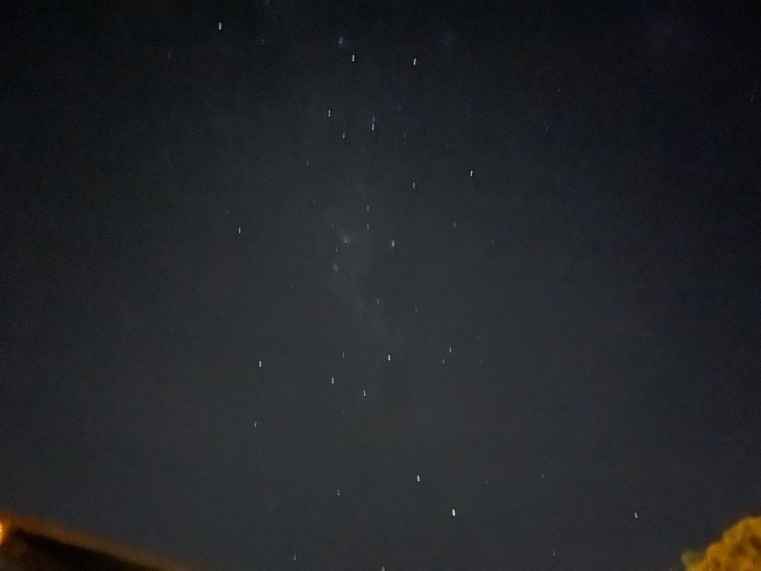 walking near me in Edis Park in summer