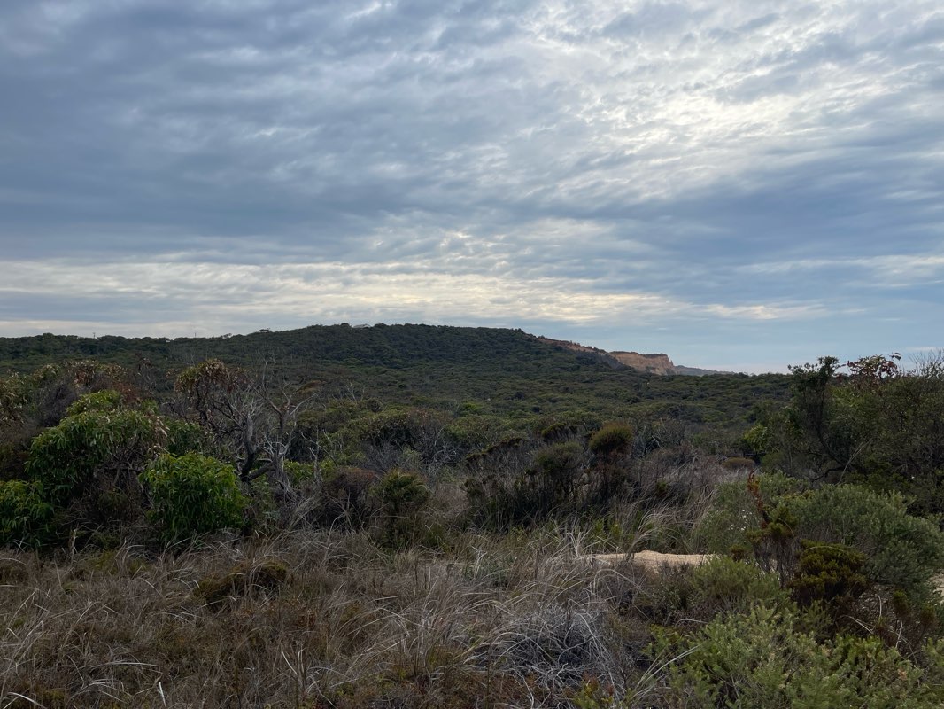 walking near me in Eumeralla Education Area in autumn
