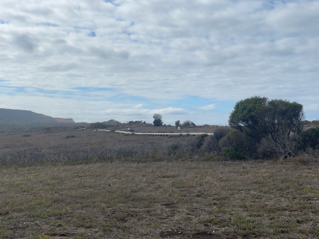 walking near me in Point Addis Marine National Park in autumn