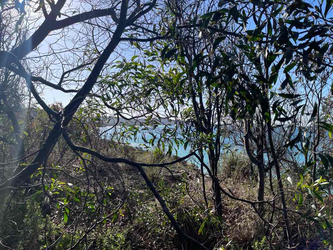 walking near me in Edna Bowman Nature Conservation Reserve in autumn