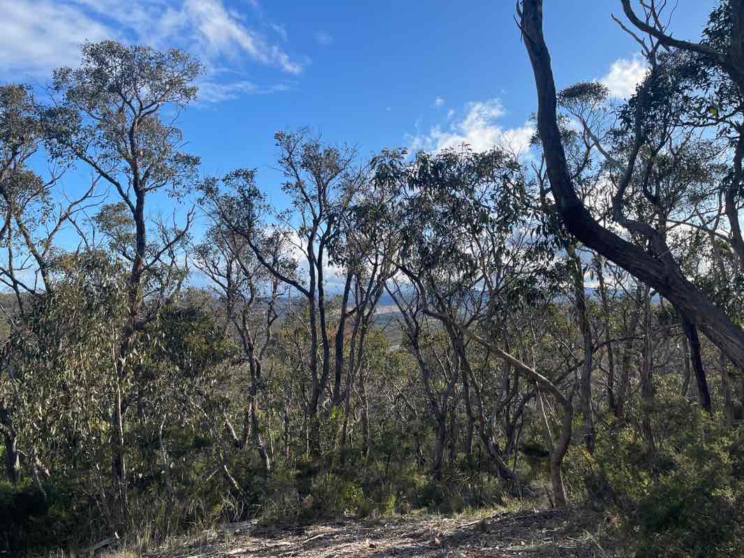 walking near me in Great Otway National Park in spring