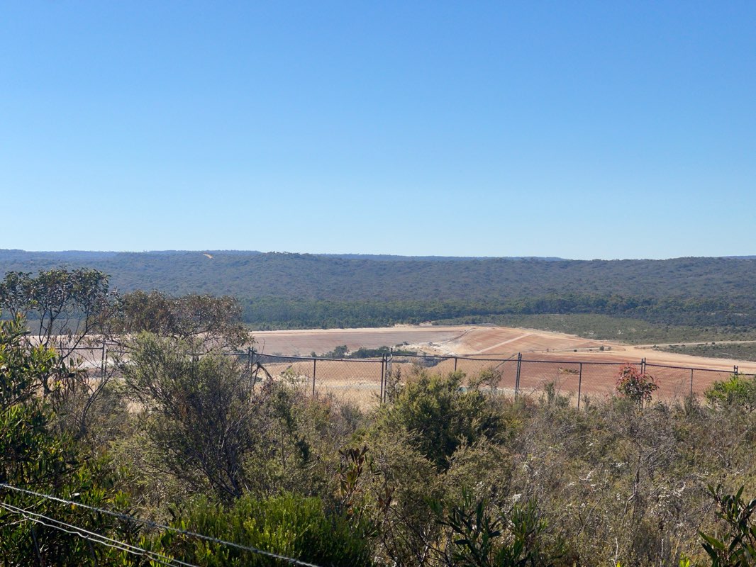 walking near me in Anglesea Bushland Reserve in summer