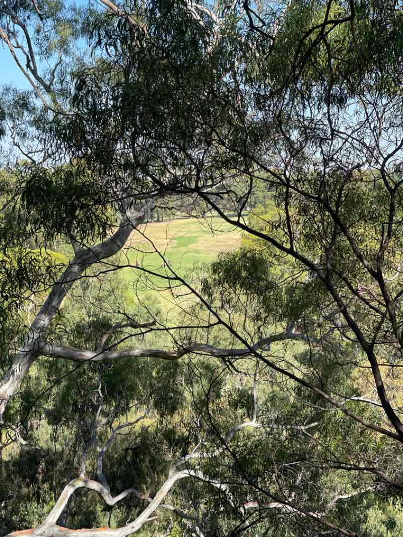 walking near me in Yarra Bend Park in summer