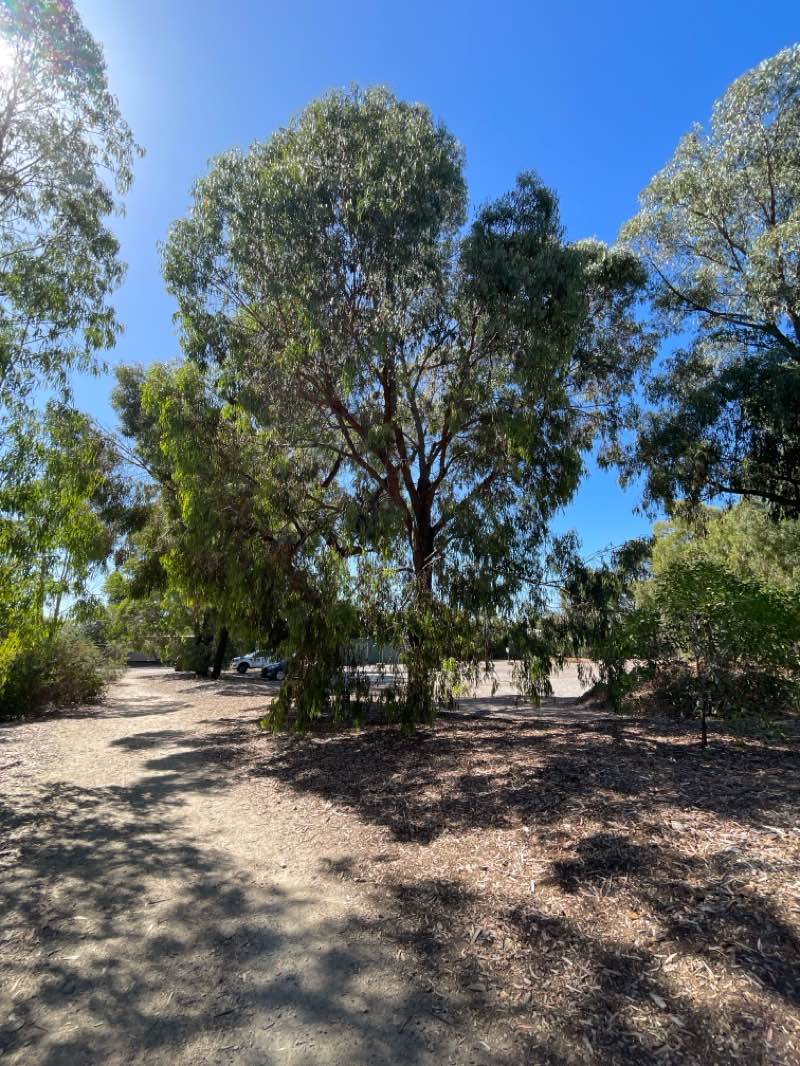 walking near me in All Nations Park in summer