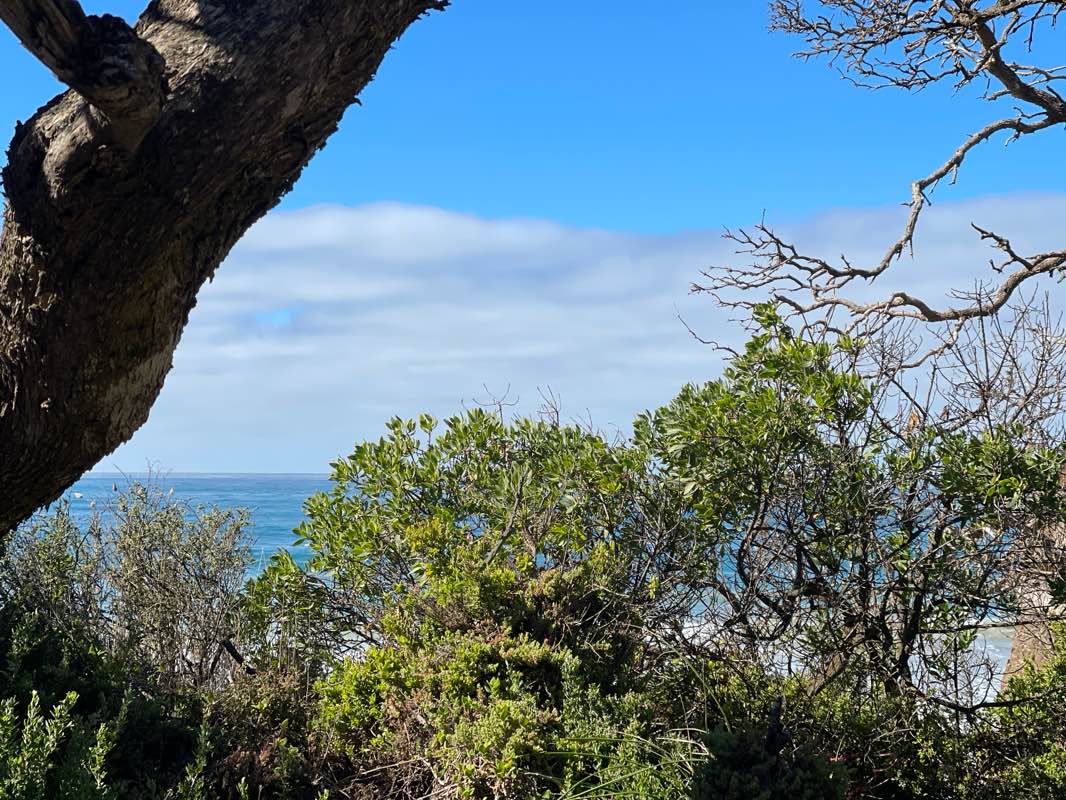 walking near me in Lorne - Queenscliff Coastal Reserve in autumn