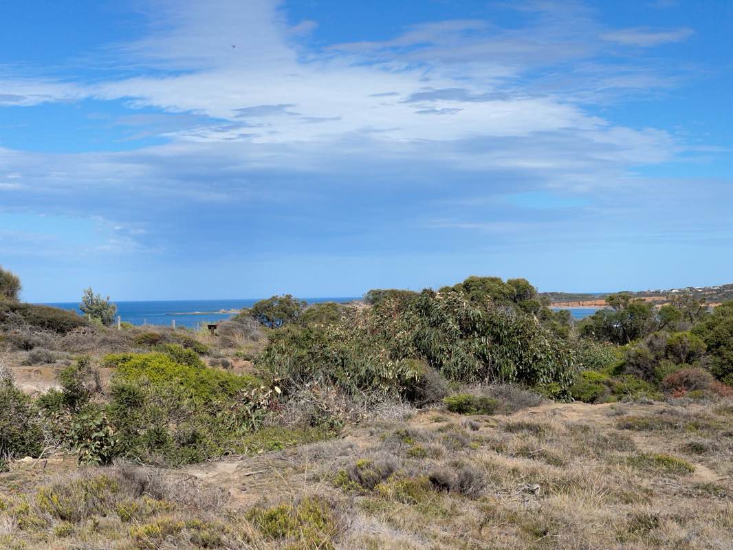 walking near me in Edna Bowman Nature Conservation Reserve in autumn
