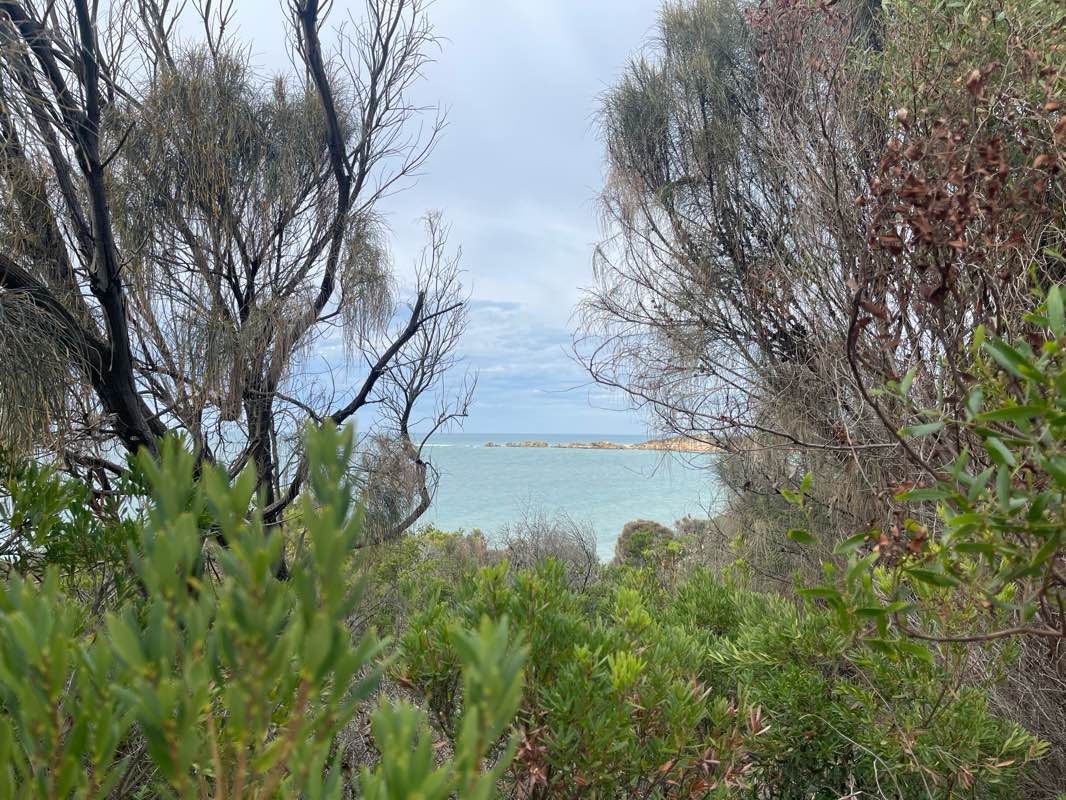 walking near me in Edna Bowman Nature Conservation Reserve in autumn
