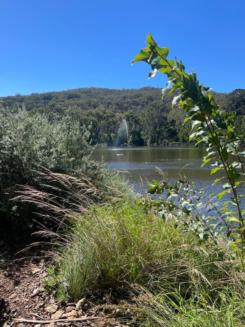 walking near me in Lake Alexandra Reserve in autumn