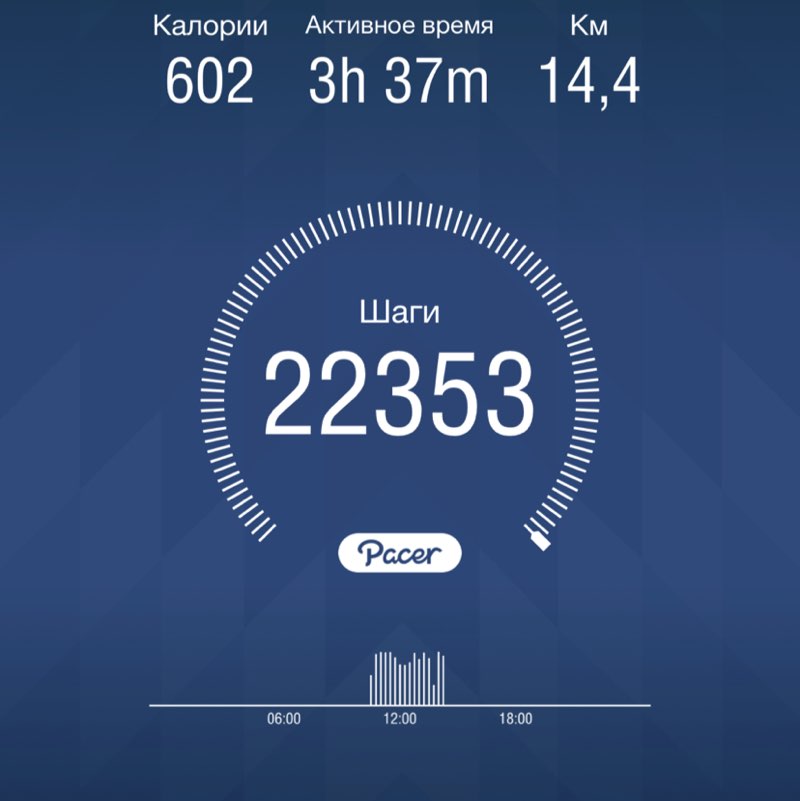 PacerЛейди post 1