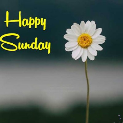 Натали Krish post image