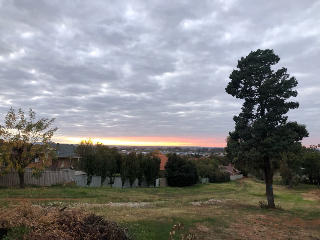 walking near me in Vaughan Park in summer