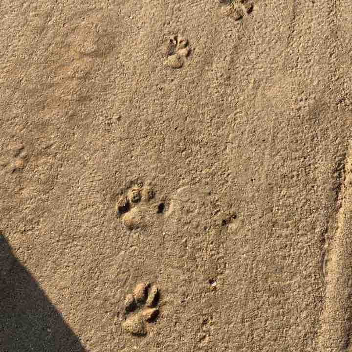 bernardithasanti2015 post 3