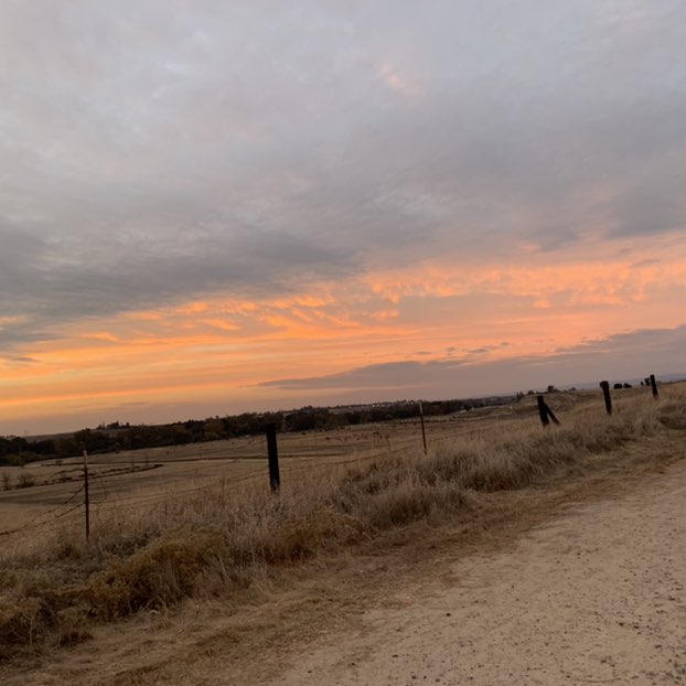 bernardithasanti2015 post 2