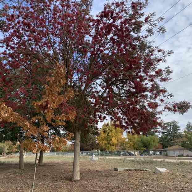 bernardithasanti2015 post 2