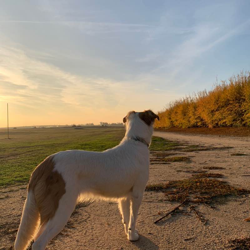 bernardithasanti2015 post 2