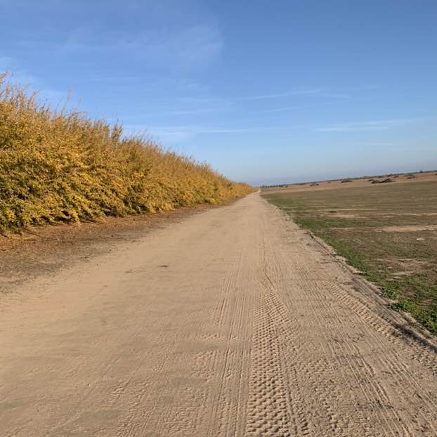 bernardithasanti2015 post 3