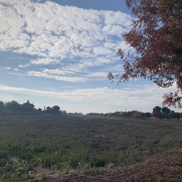 bernardithasanti2015 post 2