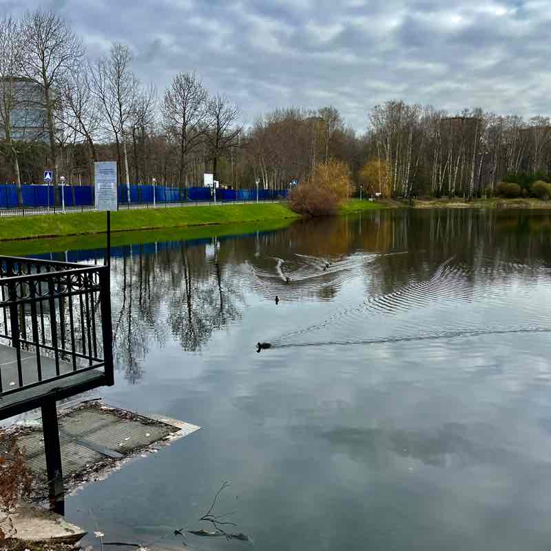 Наталья 🇷🇺 post 3