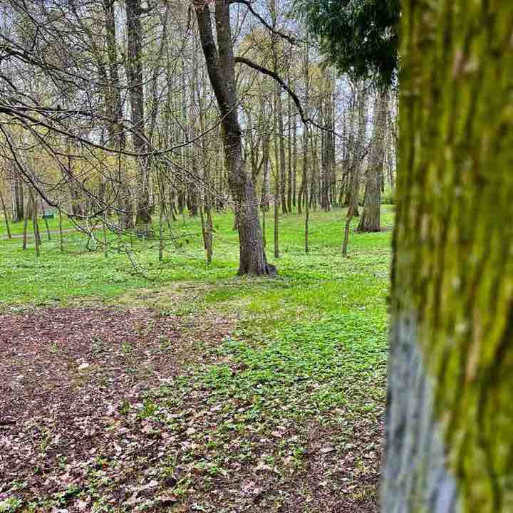 Наталья 🇷🇺 post 3