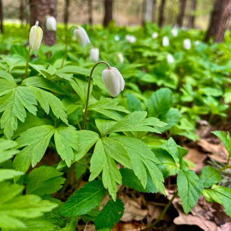 Наталья 🇷🇺 post 1