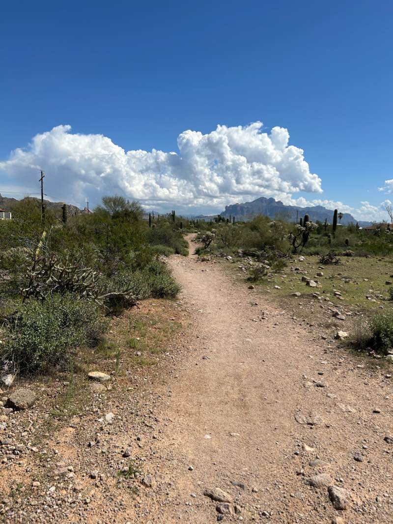 walking near me in Prospector Park in winter