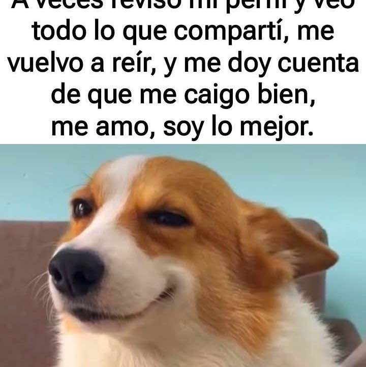 Yanira post 1
