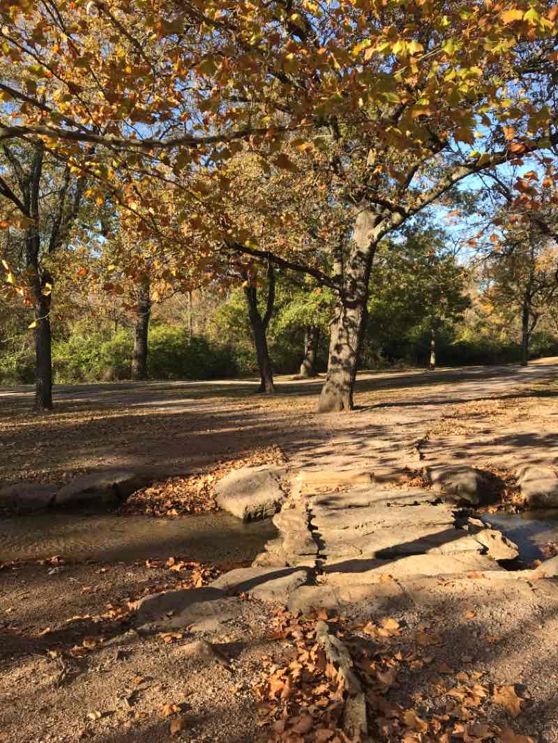 walking near me in Flower Park in winter