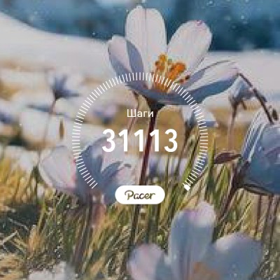 ВладиVостоК 2000🐯🎗️ Andreу 🇰🇿🐯🦁 post image