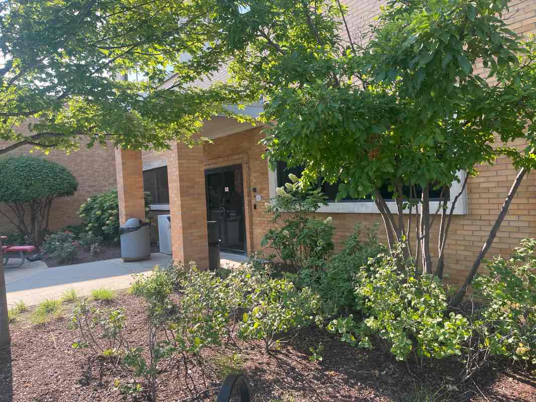 walking near me in Campground Road Woods in summer