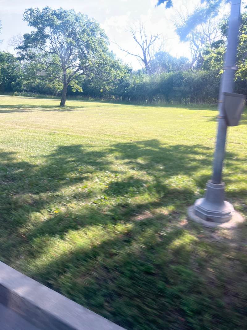 walking near me in Dam Number 4 South Woods in summer