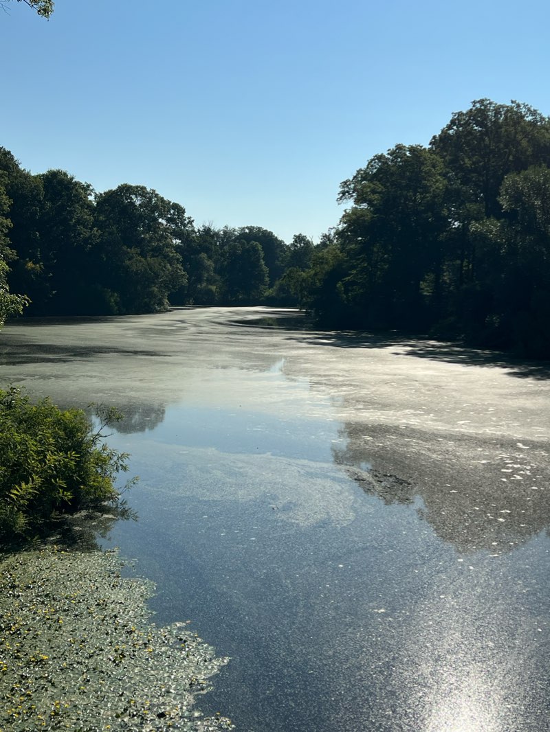 walking near me in Franklin Park in winter