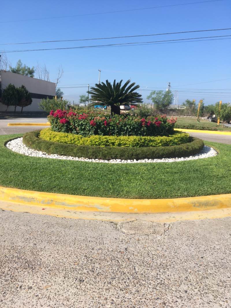 walking near me in Parque Valle de Bravo in winter