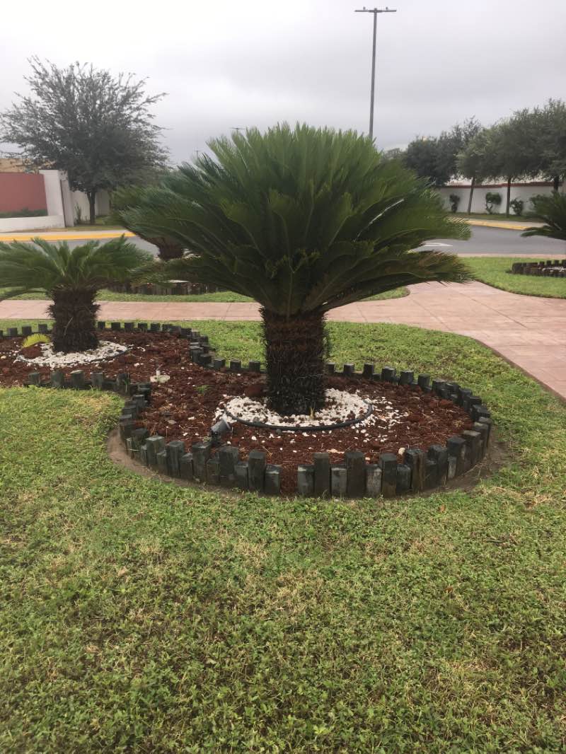 walking near me in Paqrque Casa Bella in winter