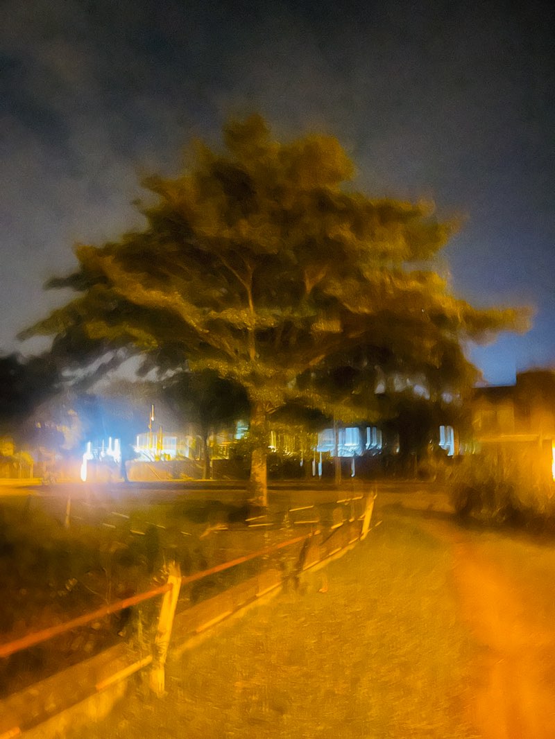 walking near me in Tasik Hill Park II in spring