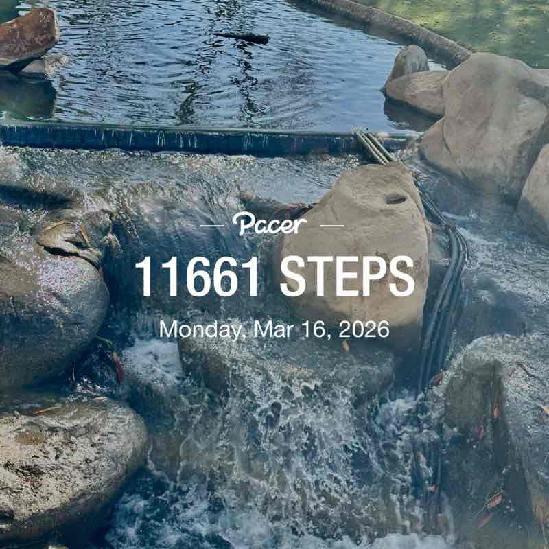 Elizabeth1112 wek post 1