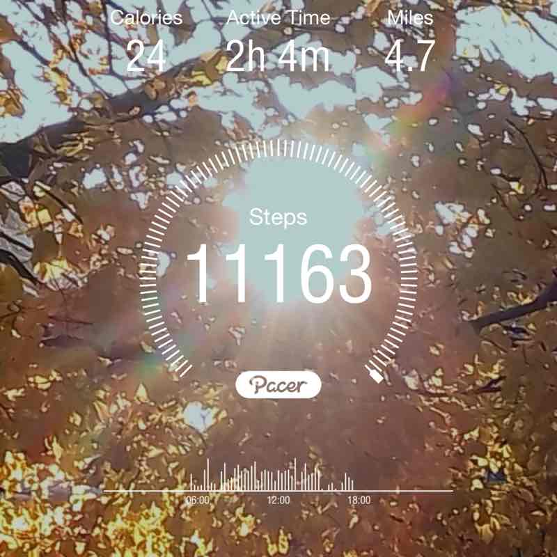 Elizabeth1112 wek post 1