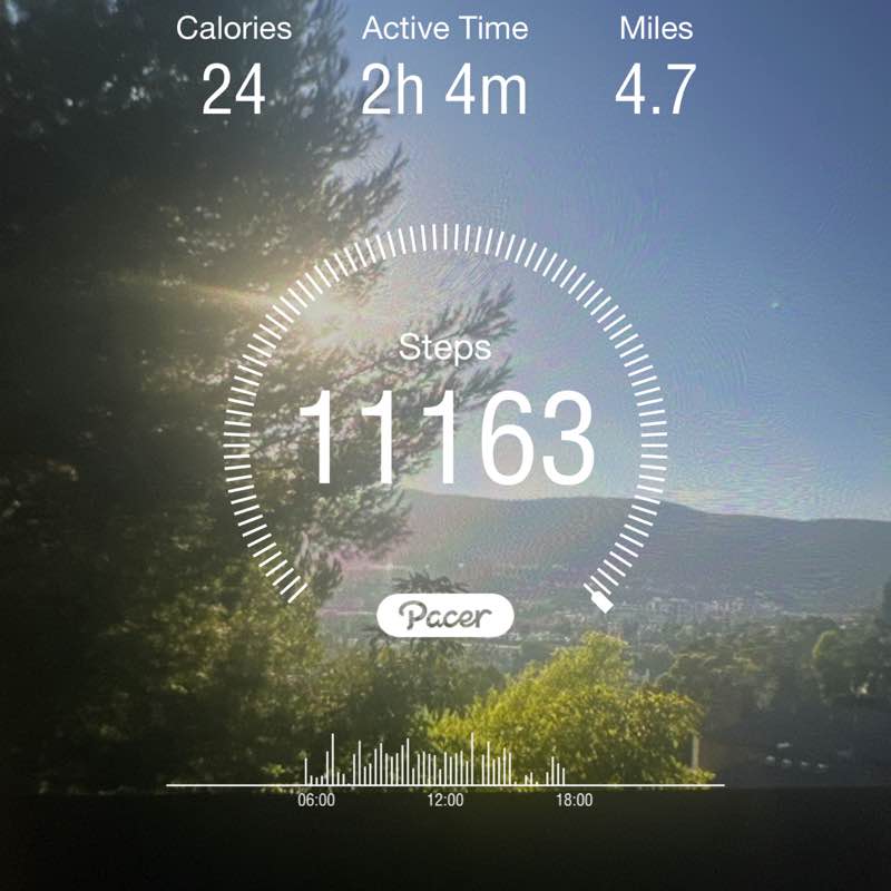 Elizabeth1112 wek post 1