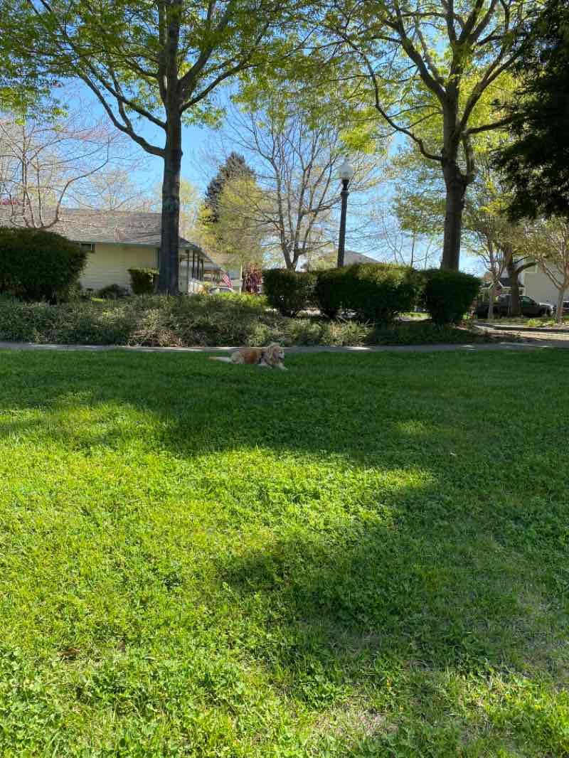 walking near me in McNear Park in winter