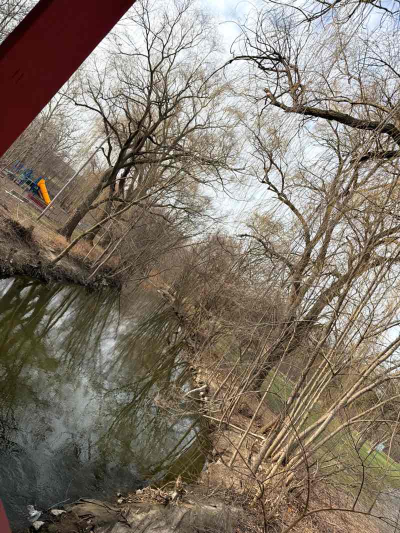 walking near me in Ford Field in spring