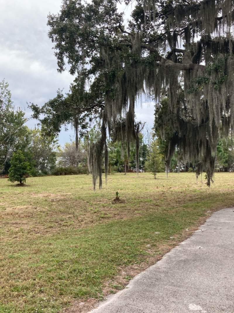 walking near me in Winter Pines Golf Course in autumn