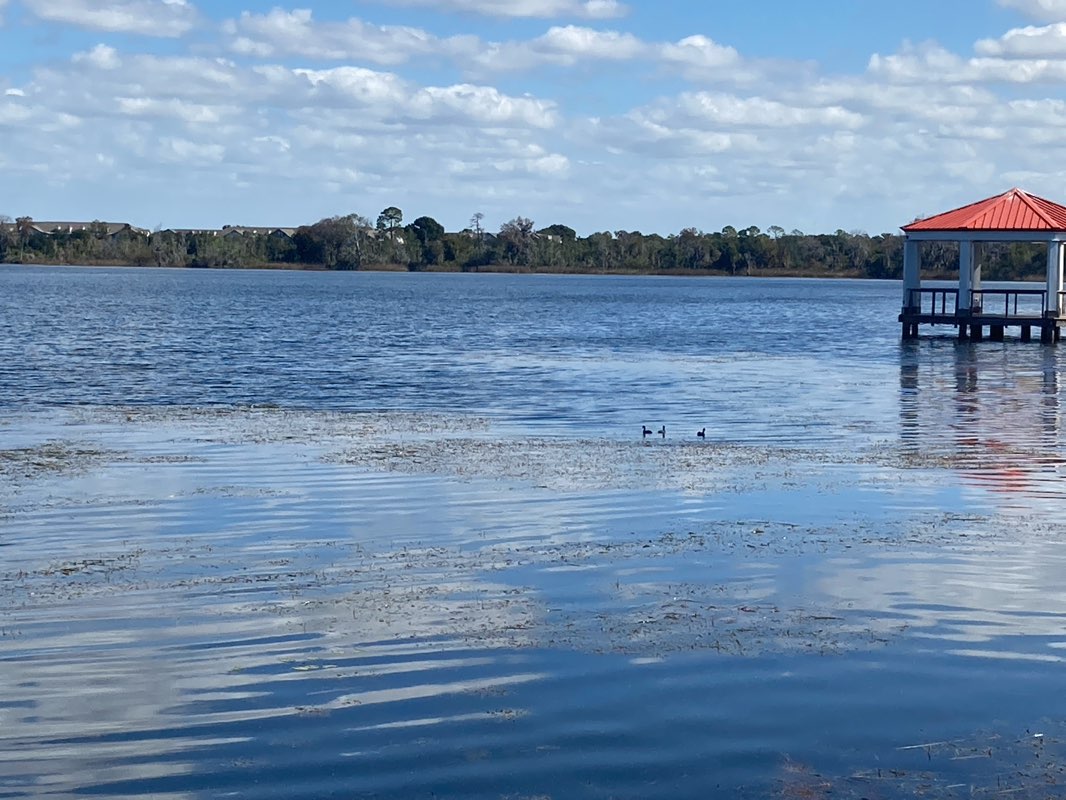 walking near me in Cady Way Trail in autumn