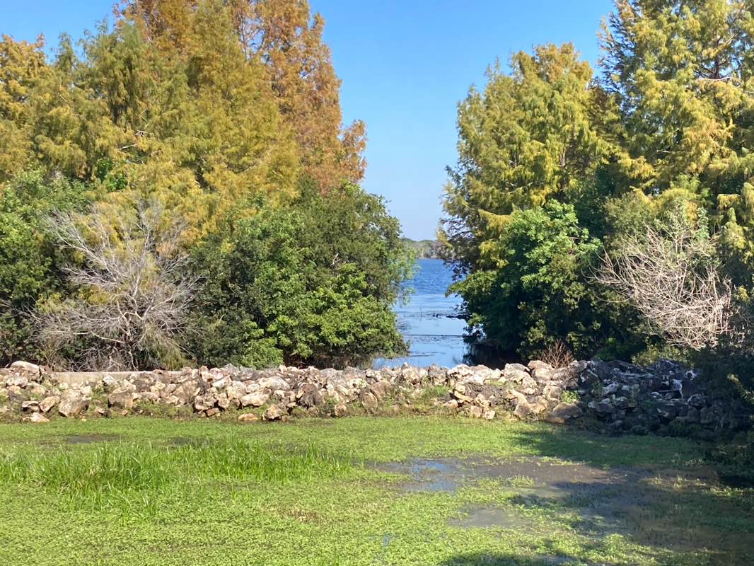 walking near me in Blue Jacket Park in autumn
