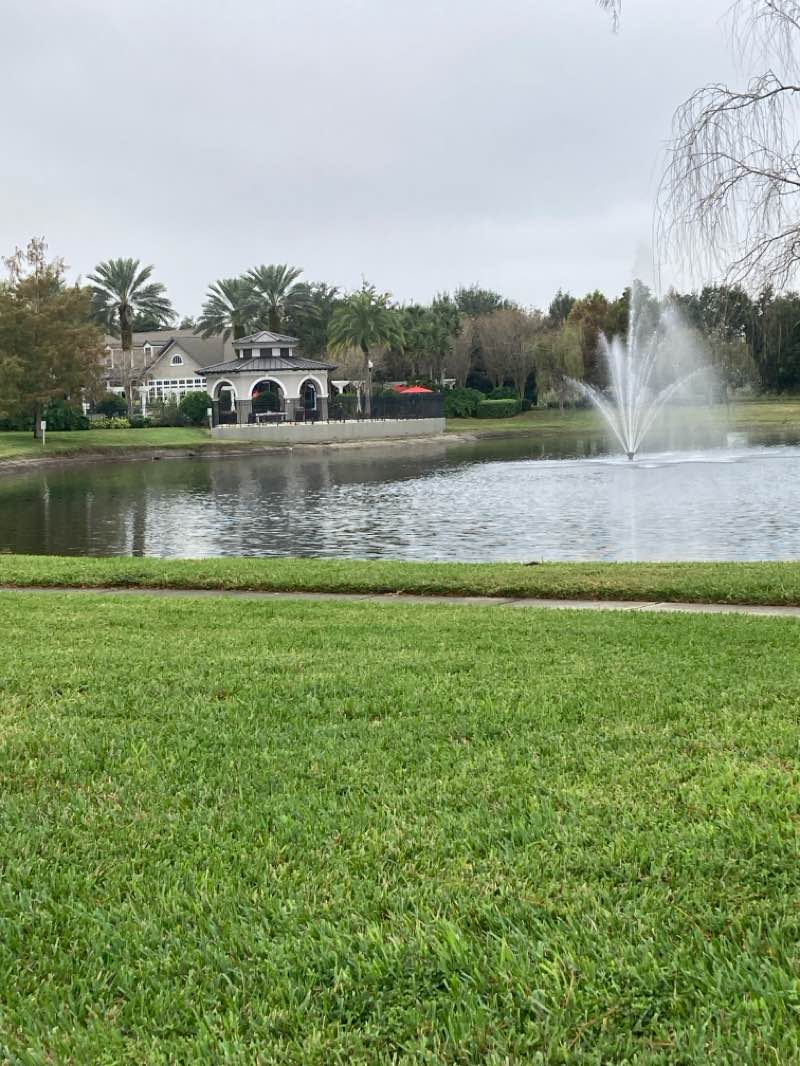 walking near me in Millennium Park in winter