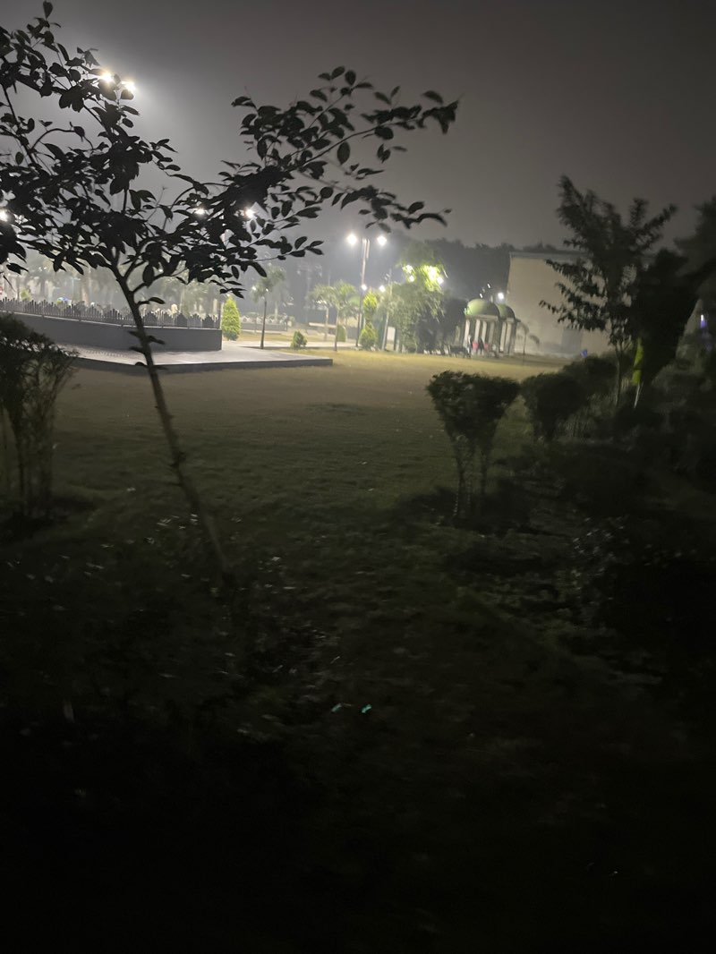 walking near me in mini rose garden in winter