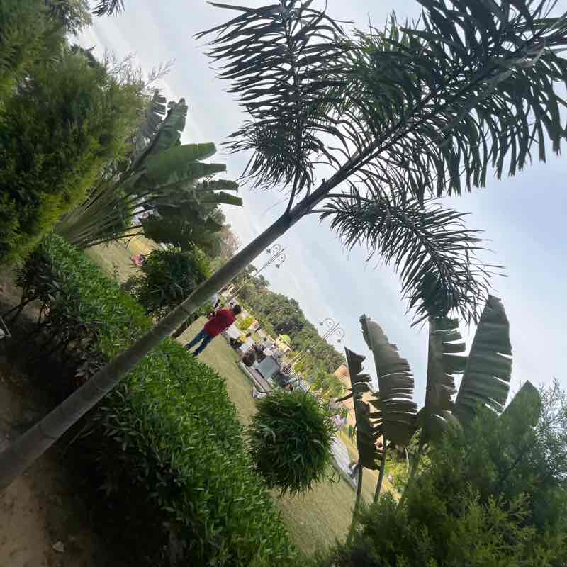 Mohd Naved post 1