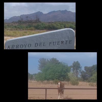 🙏🏼👩‍👧♀️🇺🇸🏜🚶🏽‍♀️👣 post 1