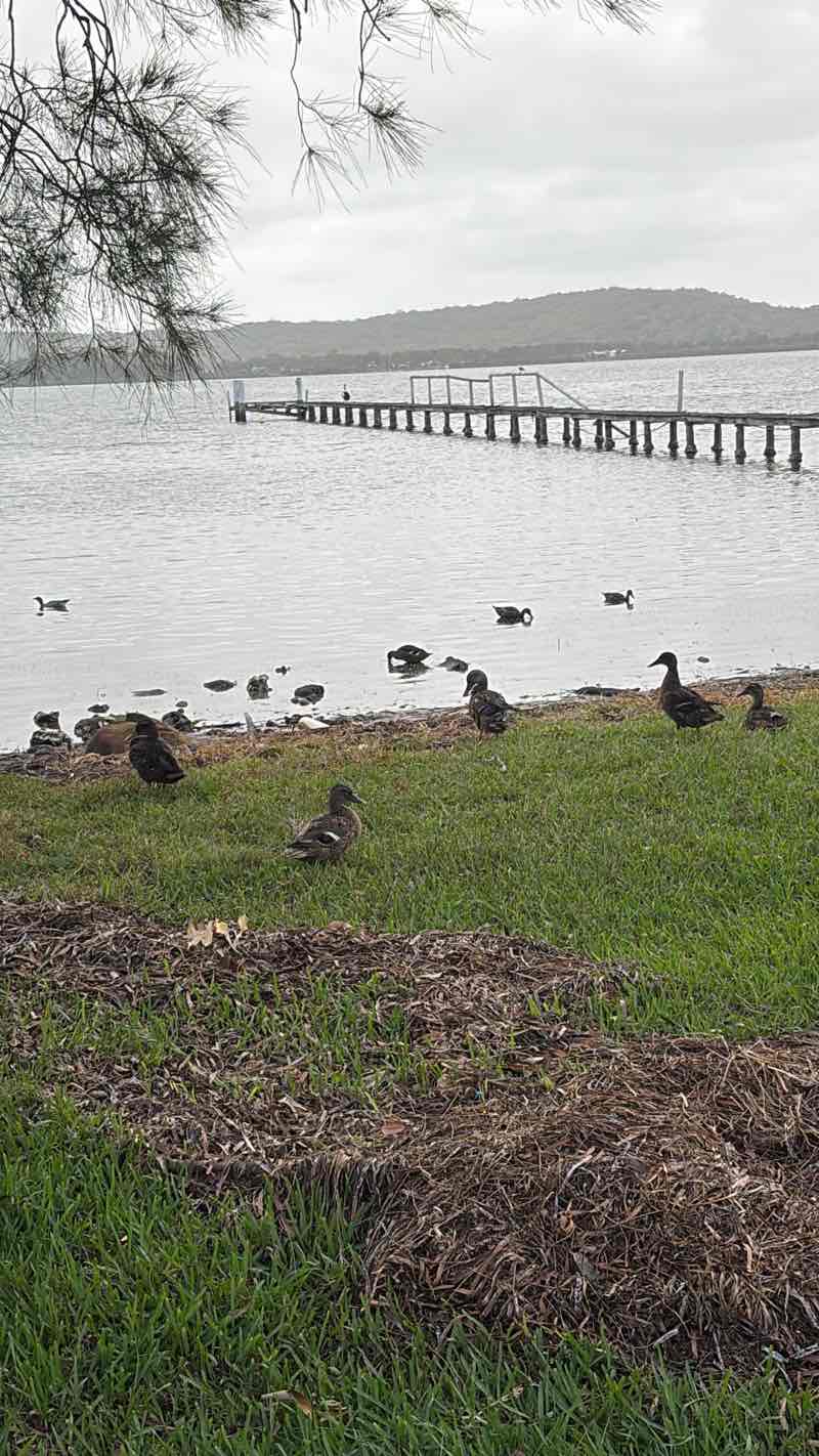 walking near me in Broadwater Park in summer