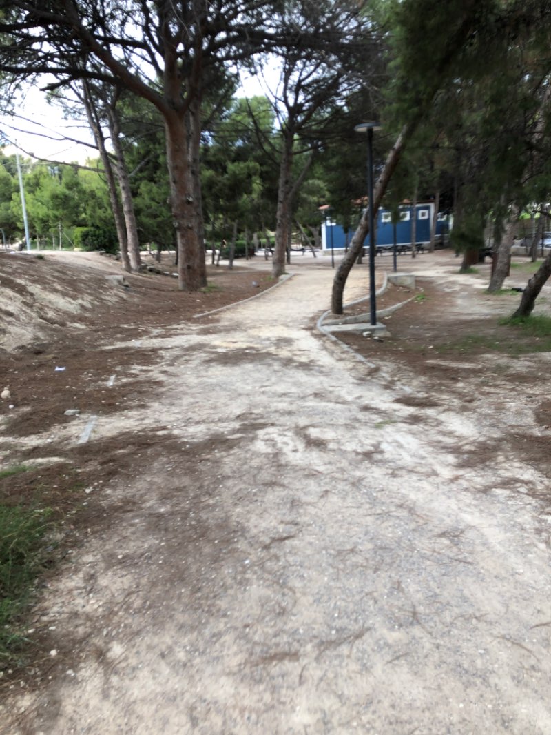 walking near me in Parque el Tossal in winter