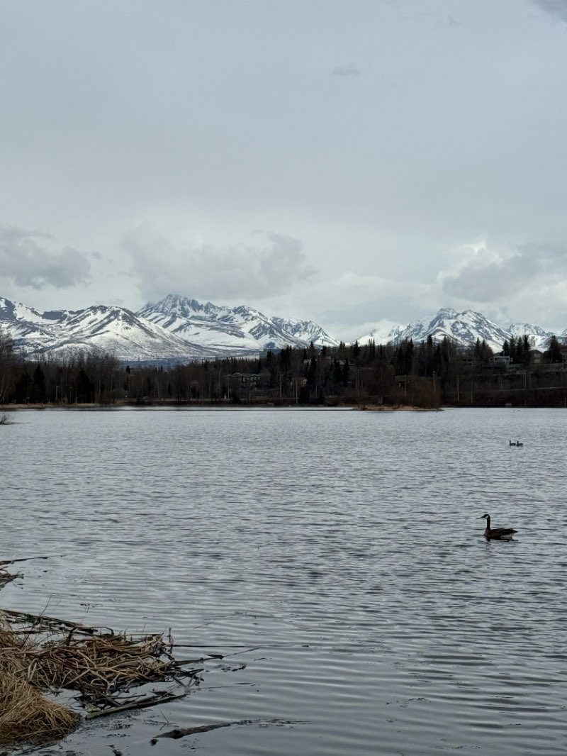 walking near me in Valley of the Moon Park in winter