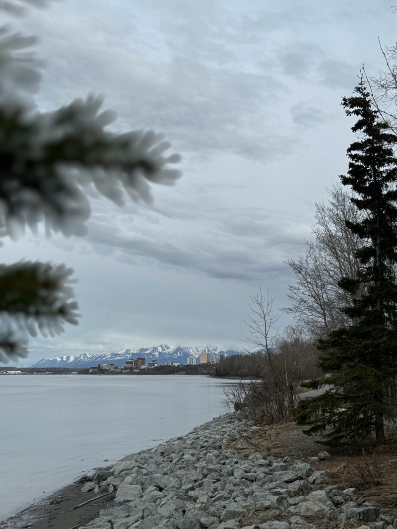 walking near me in Valley of the Moon Park in winter